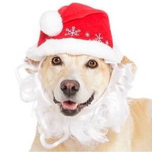 Dog/Cat Santa Hat with Removable Beard - XS/S